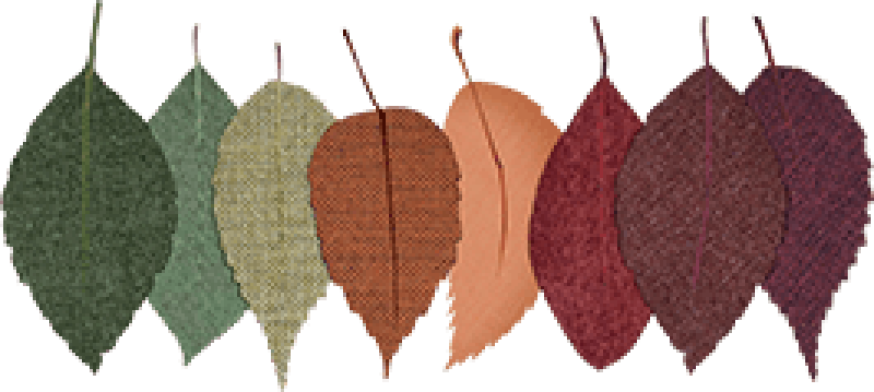 image007.png